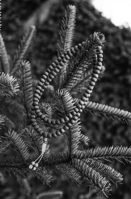 Black and white photo of Mala