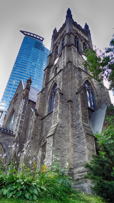 beautiful Tower among the trees