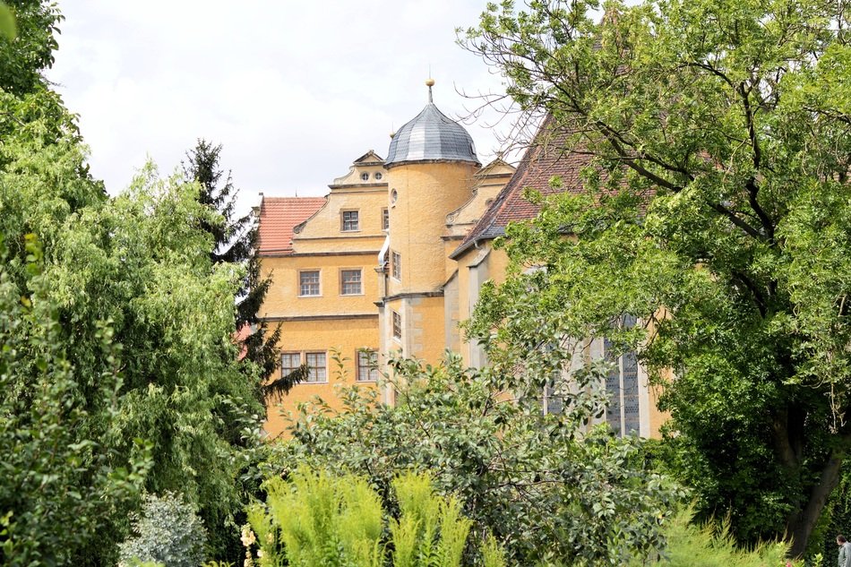 a big castle by the trees