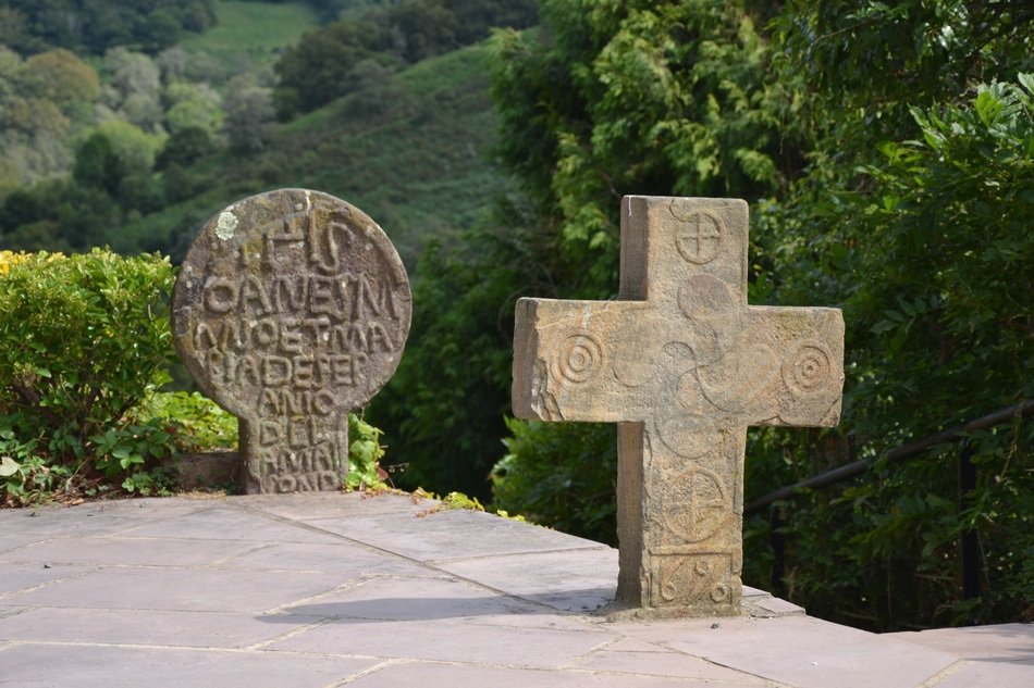 stone cross near green bushes in a cemetery