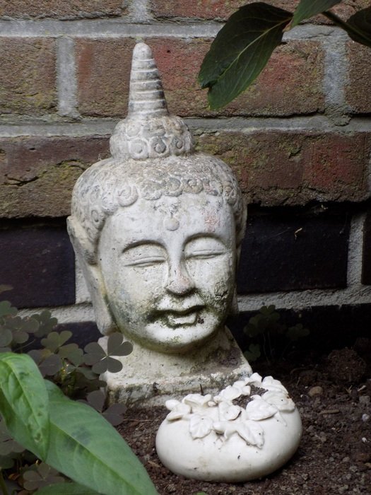 head of a buddha in the earth