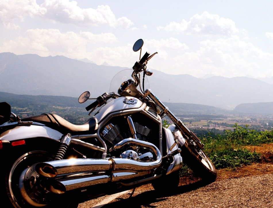 shiny Harley Davidson