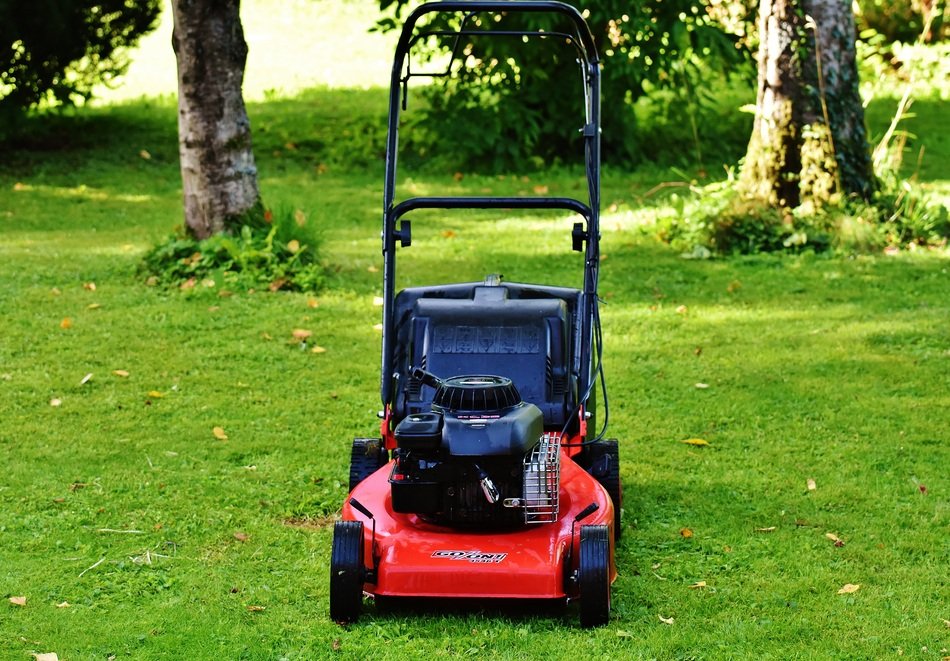 lawnmower for gardening