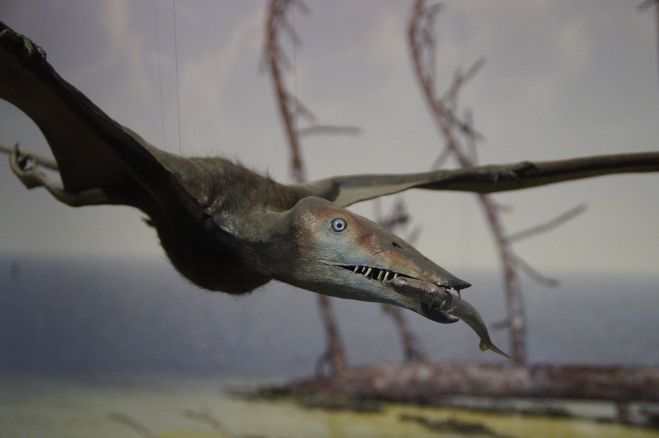 Pterosaur Fishing Prey