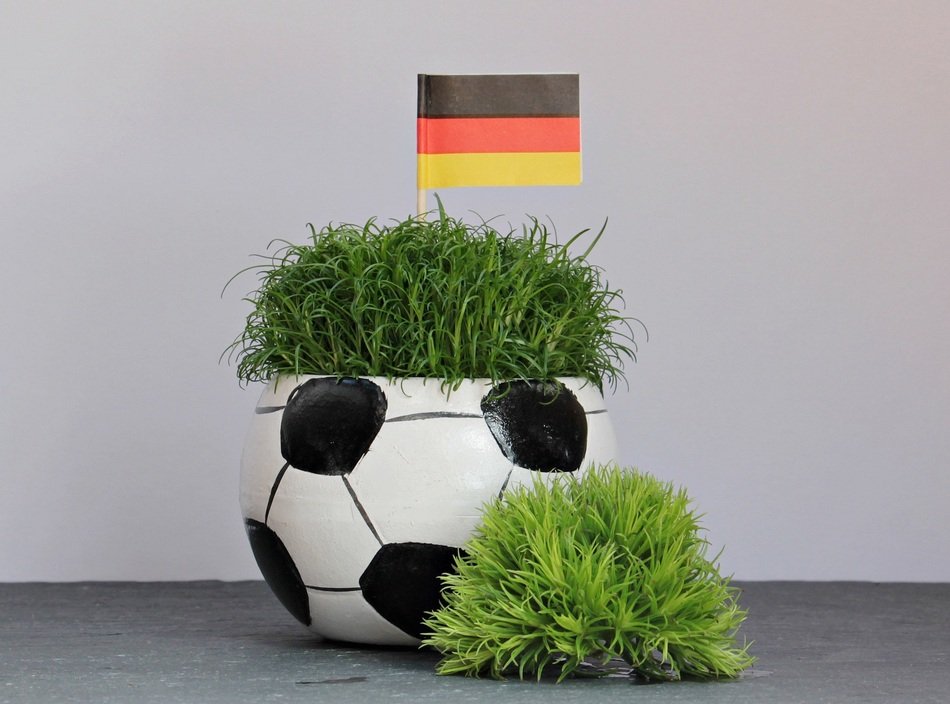 plant pot in football colors