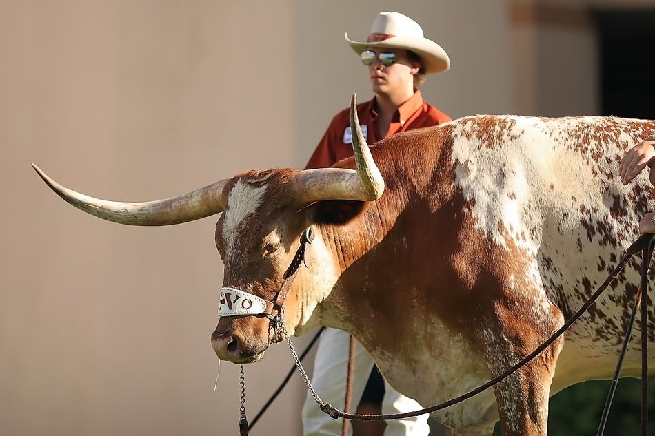 Beautiful mascot and man in Texas
