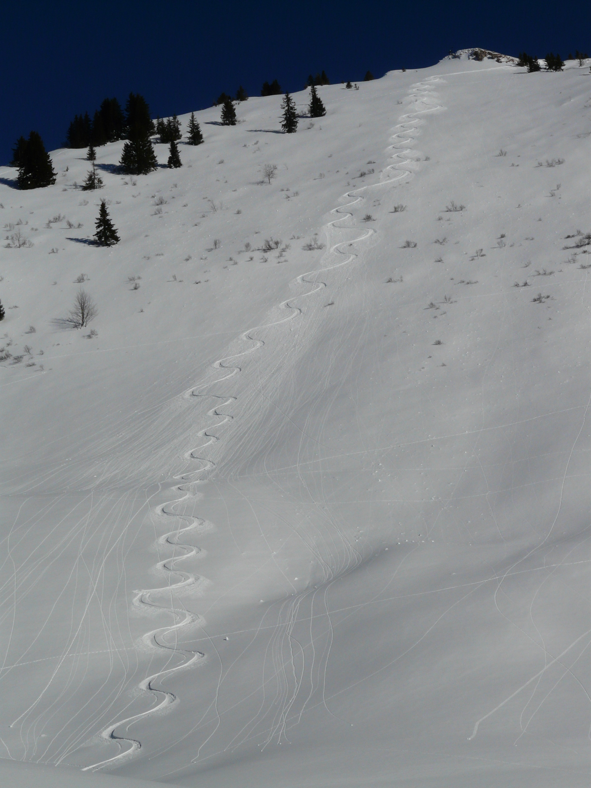 Crooked tracks in the snow from skiing alone free image download