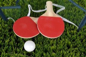 everything for table tennis on green grass