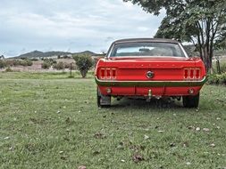 red mustang stands on green grass