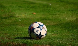 soccer ball on green grass close up