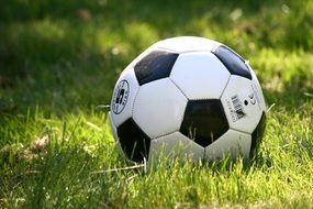 Football ball on the green Grass