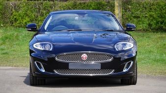 front view of a luxurious sports car with green plants background