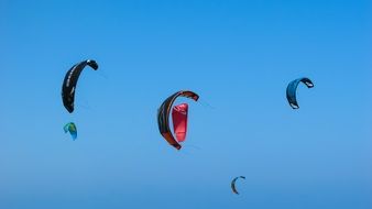 parachutes of kitesurfers