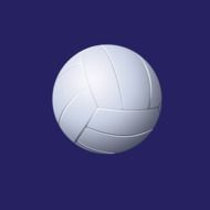 Volleyball Ball