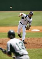 Baseball Pitcher Baseball Pitch