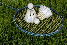 all for badminton on green grass