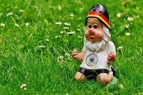 gnome like a football player on the grass