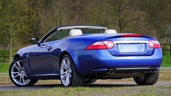 side rear view of a blue sports car