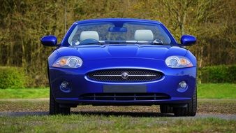 blue sports car jaguar among nature