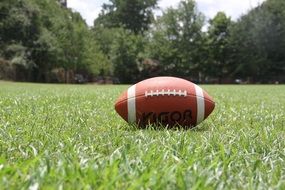 American Football on lawn at summer