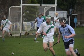 picture of the hurling players