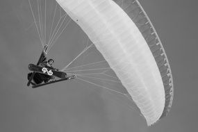 Paragliding, person at sky, black and white