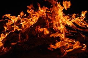 fire on a dark background