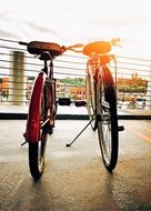 Bicycle Sport