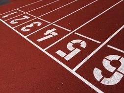 treadmills with numbers at the start