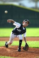 Baseball Pitcher Ball