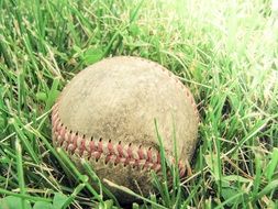 A baseball ball lies on the green grass