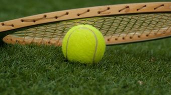 Tennis Ball and Racket on lawn