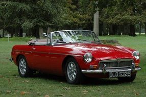 A red sports car is standing on a green field