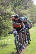 Bicycle race in the forest