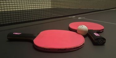 table tennis racket and ball