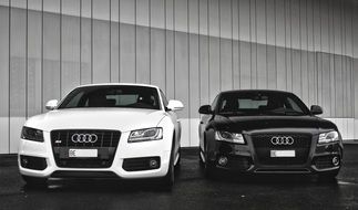 black and white Audi cars parked near the wall