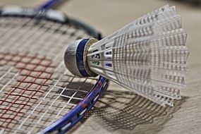 badminton Shuttlecock on racket