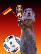 Suricata with the flag of Germany next to the ball