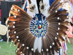 warrior with long feathers at a ceremony