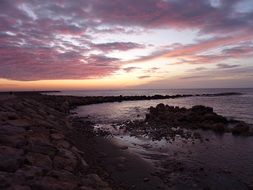 pink sunrise over the sea