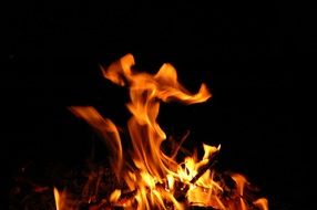 Fire An Outbreak