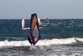 windsurfing in the wind