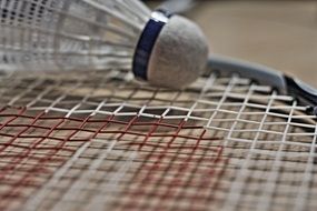 badminton is a recreational sport