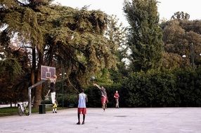 group of young boys playing Basketball in Central Park, italy, milan