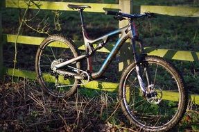a bicycle stands at a tree fence