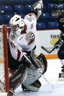 goalkeeper protects the hockey gate