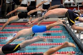 start of competitive swimming