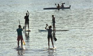 athletes on boards with verls swim along the Alster River in Hamburg