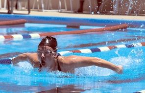 butterfly swimmer in the pool