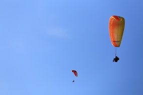 Paragliding Sports